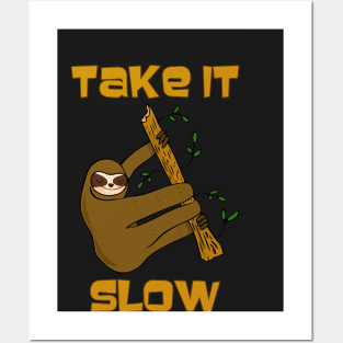 Take It Slow Sloth Posters and Art